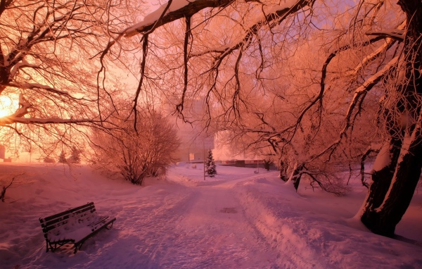 Розовый снег в зимнем парке