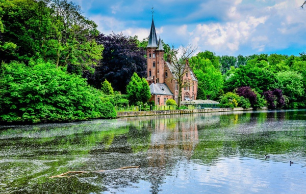 Церковь среди зеленых деревьев на берегу