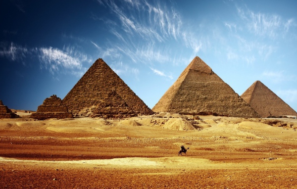 A lone camel on a background of the pyramids