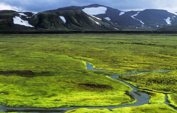 Зеленая равнина в Исландии