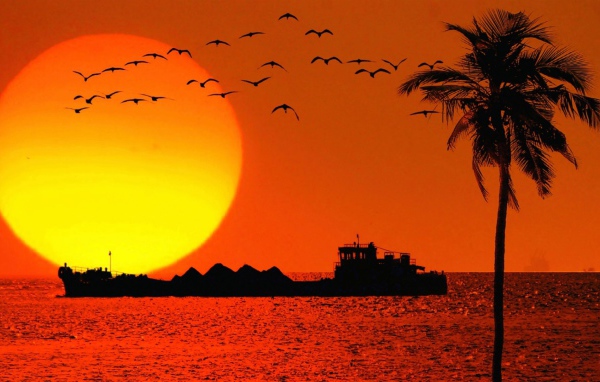 Вечером в Гоа, Индия