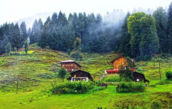 Деревянные дома в горах в Турции