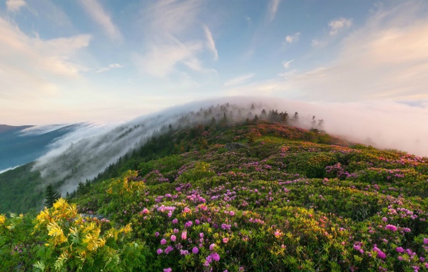 Рон Маунтин, Теннесси, США