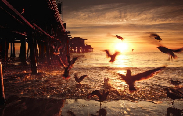 Закат в Санта-Монике. Калифорния, США