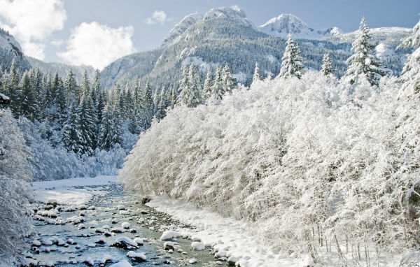 Йеллоустонский Национальный Парк , США