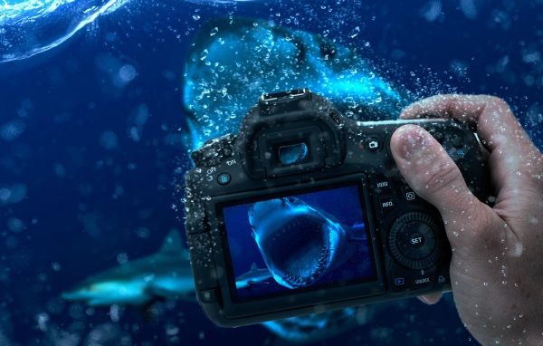 Занятие подводной фотографией