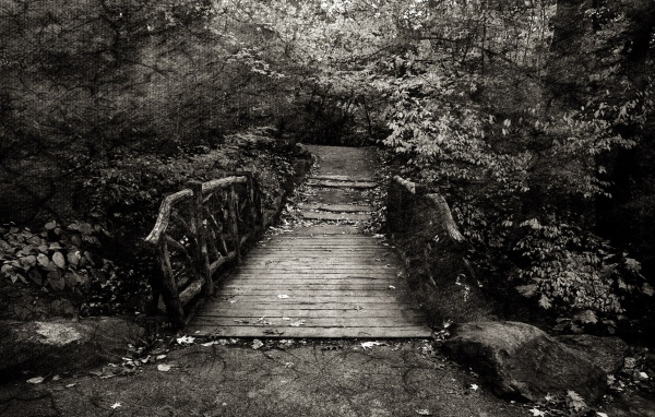 Эффект холста на черно белом фото