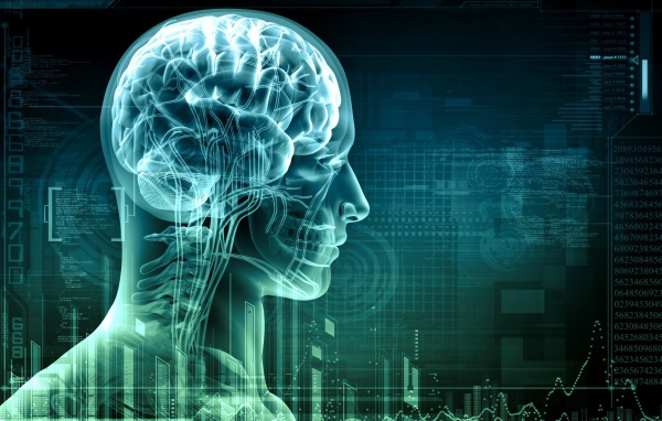 Цифровой снимок мозга человека