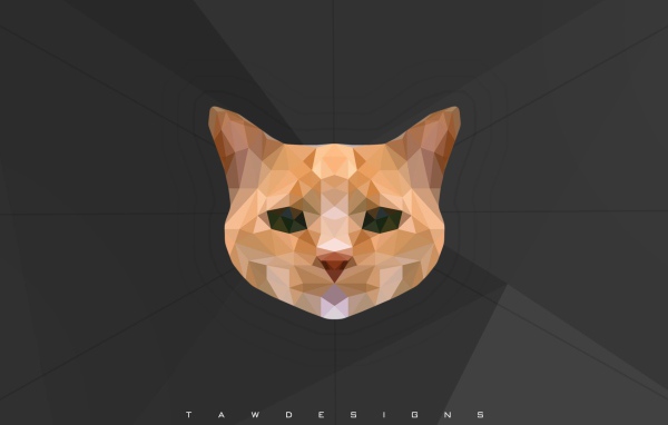 Морда кота, 3-Д графика