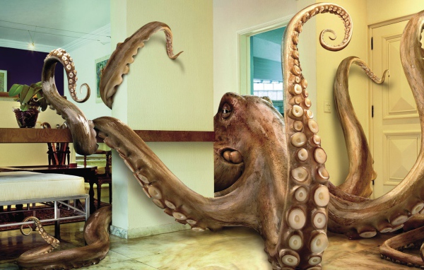 Осьминог в комнате, 3Д графика