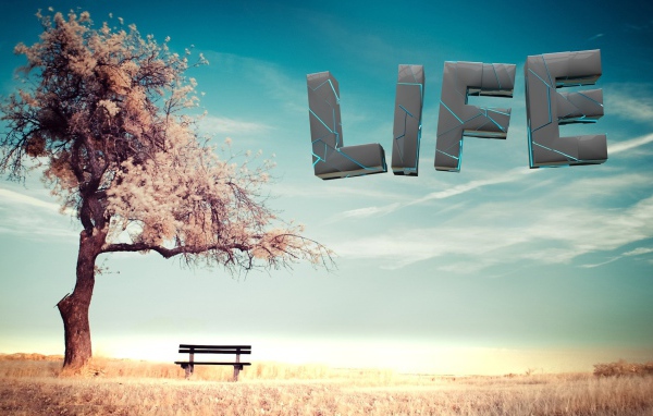 Буквы в небе у дерева, 3-Д графика