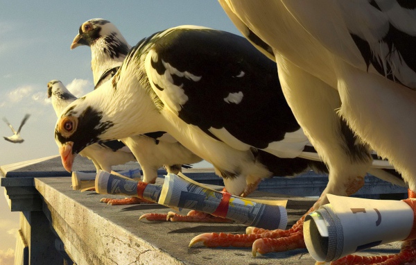 Почтовые голуби с посланиями на лапах
