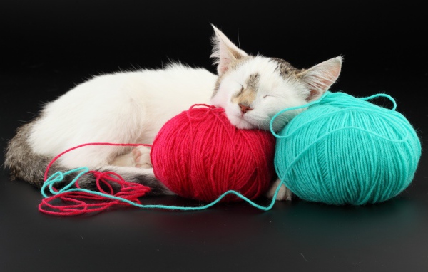 Котенок спит на клубках шерсти