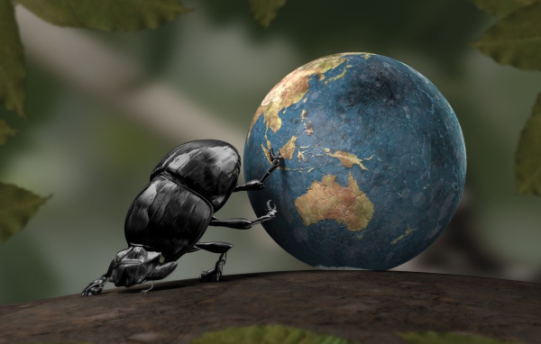 Жук скатал земной шар