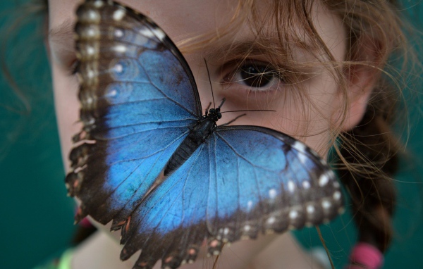 Синяя бабочка на лице девочки