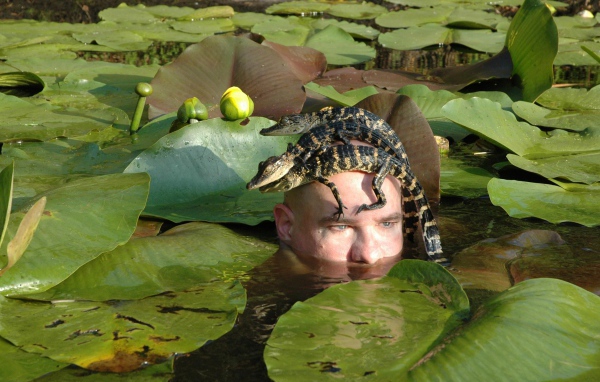 Крокодилы на голове человека