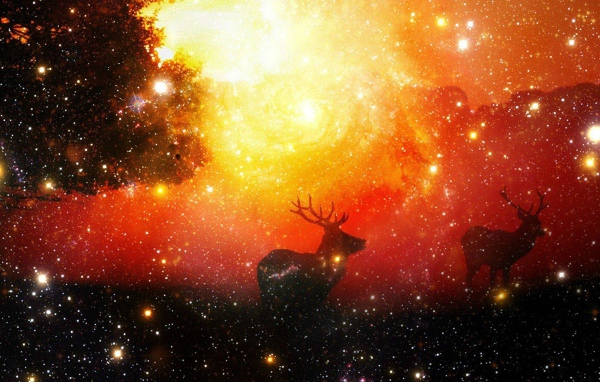 Олени среди звезд