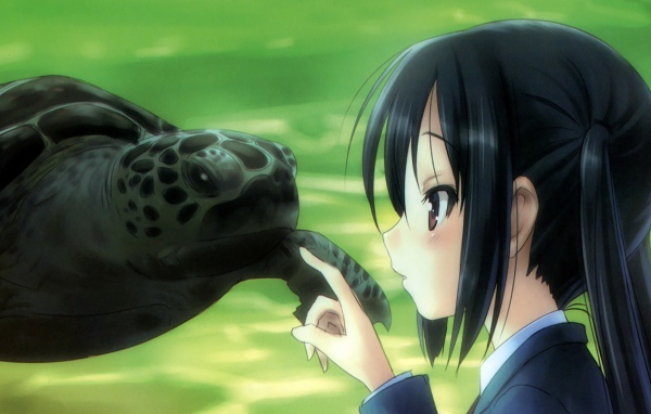 Девушка аниме и черепаха