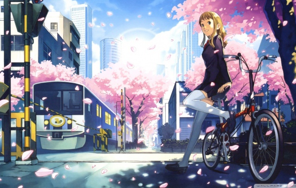 Аниме девушка на велосипеде у переезда