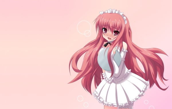 Девушка из аниме Подручный Луизы-Нулизы