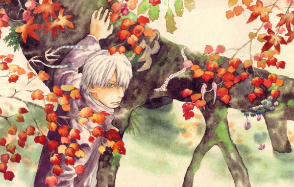 Главный герой аниме Мастер Муси