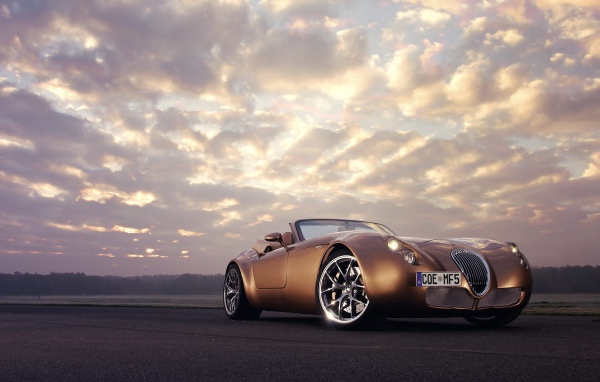 Спортивный коричневый Wiesmann