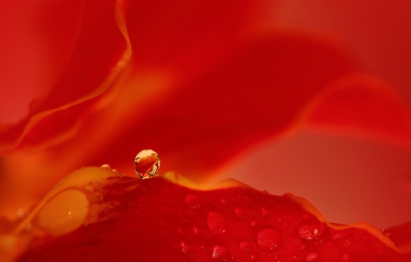 Капля воды на красном фоне