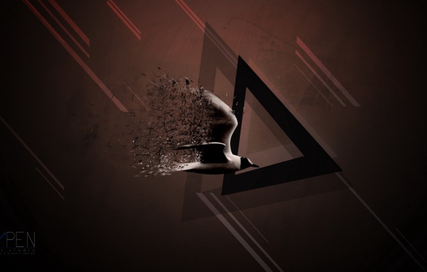 Птица и треугольник, коричневый фон