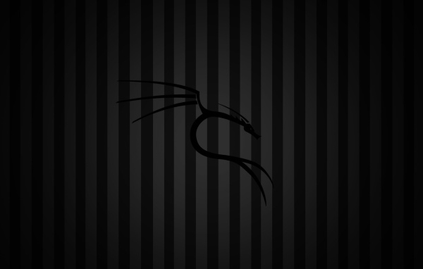 Черный фон Kali Linux