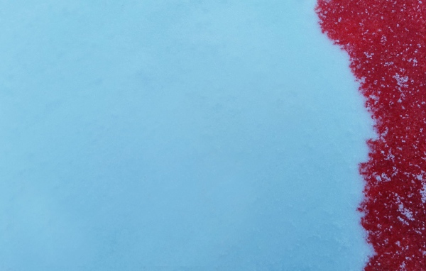 Кровь на голубом снеге