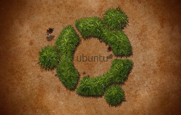 Трава в пустыне, фон Ubuntu