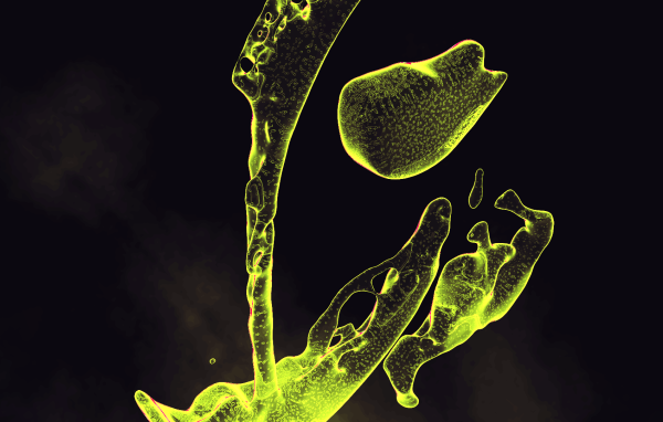 Капли зеленой жидкости на черном фоне