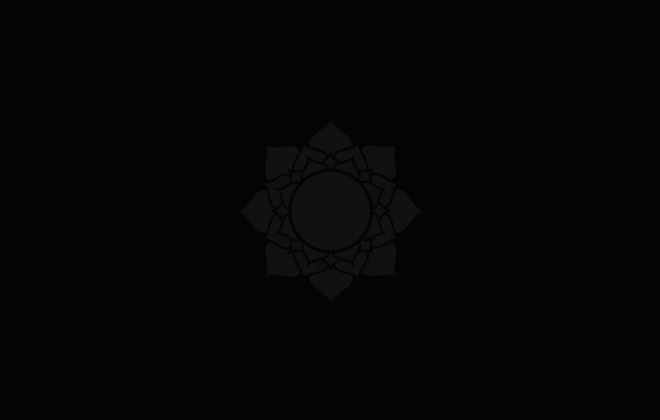 Цветок лотоса, темно серый фон