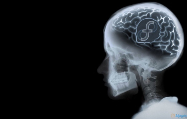 Знак ОС Fedora на рентгене