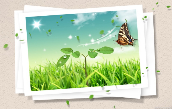 Летняя открытка с бабочкой