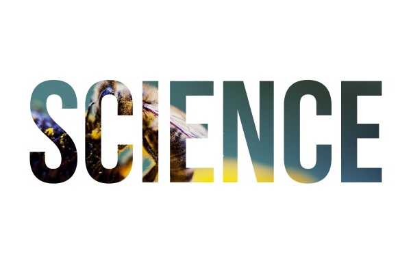 Надпись Наука на фоне пчелы