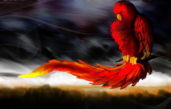 Красная птица ухватилась за ветку во время ветра