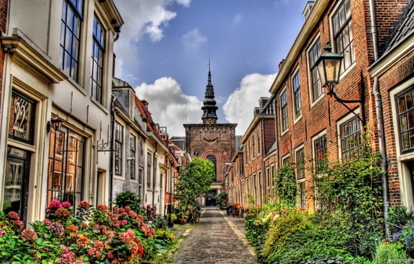 Цветущая узкая улица