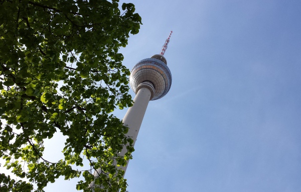 Дерево на фоне телебашни в Берлине