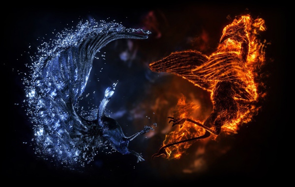 Сражение птиц стихий воды и огня