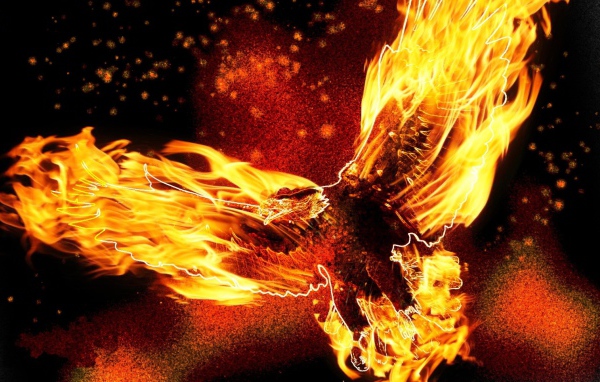 Птица орел в огне