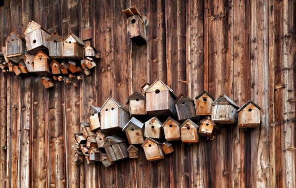 Скворечники на деревянной стене