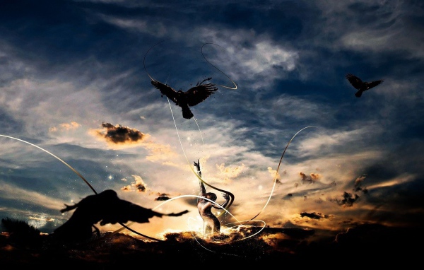 Птицы рвутся к свободе