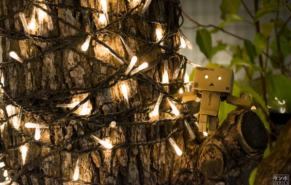 Дандо на дереве