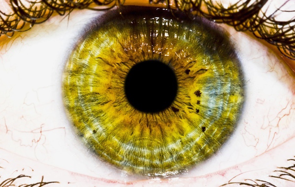 Зеленый глаз, макро фото