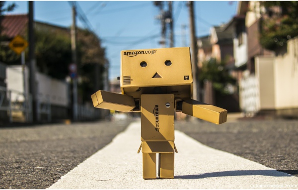 Японский Дандо стоит на дороге