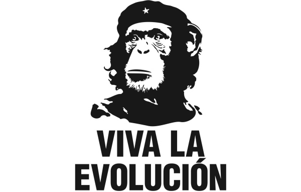 Да здравствует эволюция