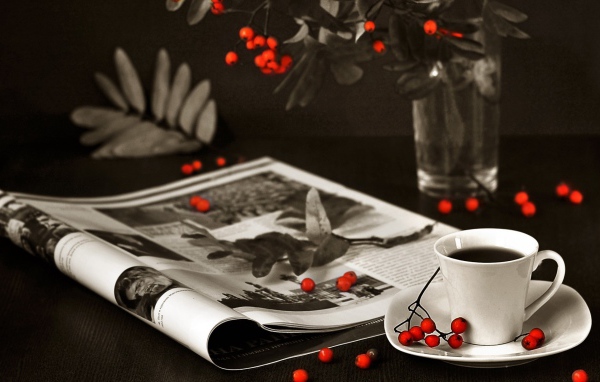 Ягоды рябины на столе и журнале
