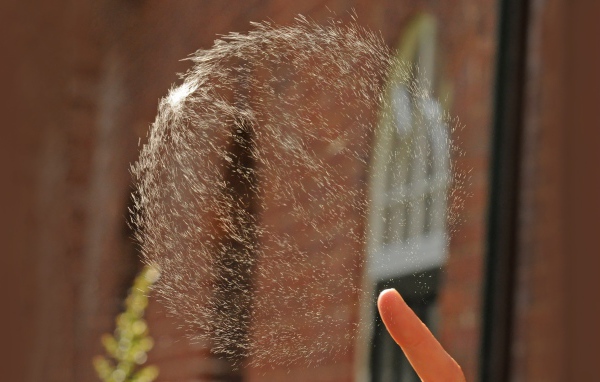 Мыльный пузырь проткнут пальцем