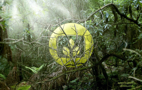 Символ лепестков на фоне зарослей